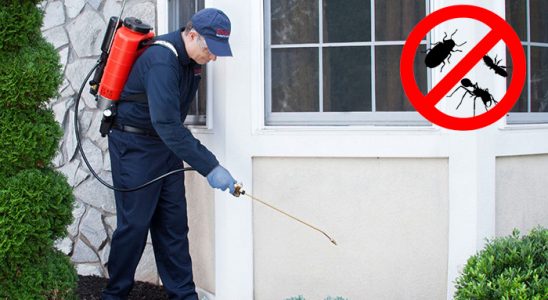 Perşembe Gümüşkurt İlaçlama böcek ilaçlama ve haşere kontrolü — ilaclama-tr.com